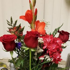 Meet your Posher, Gina